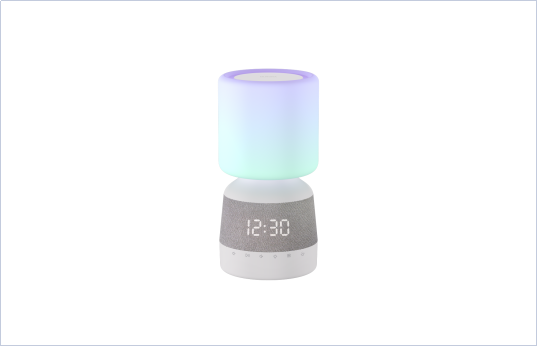 C200Y666 Smart Voice Assistant