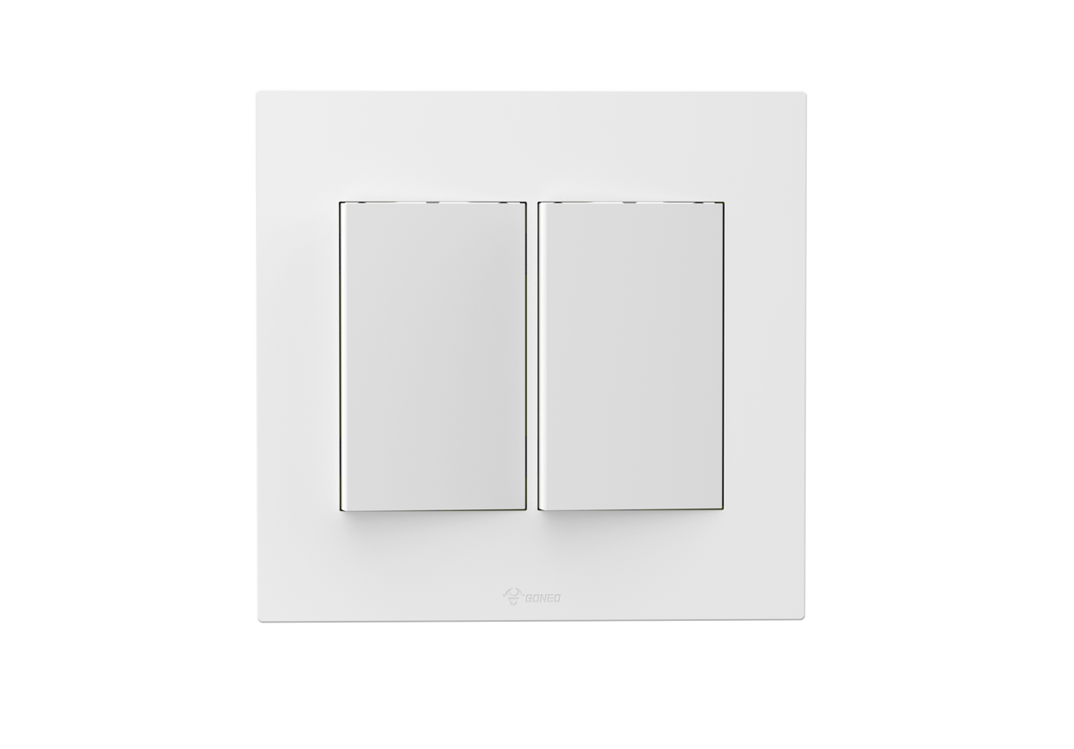2 Gang 2 Way Switch