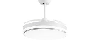 Ceiling Fan Light