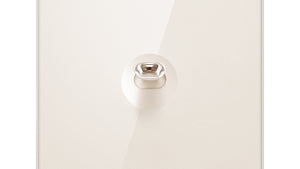 Wall Switch