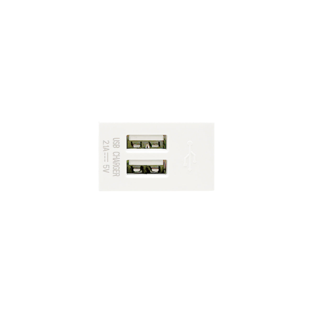 U7T204 2-Port USB Socket, Functional Unit (White/TH) L24