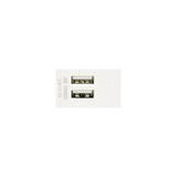 U7T204 2-Port USB Socket, Functional Unit (White/TH) L24