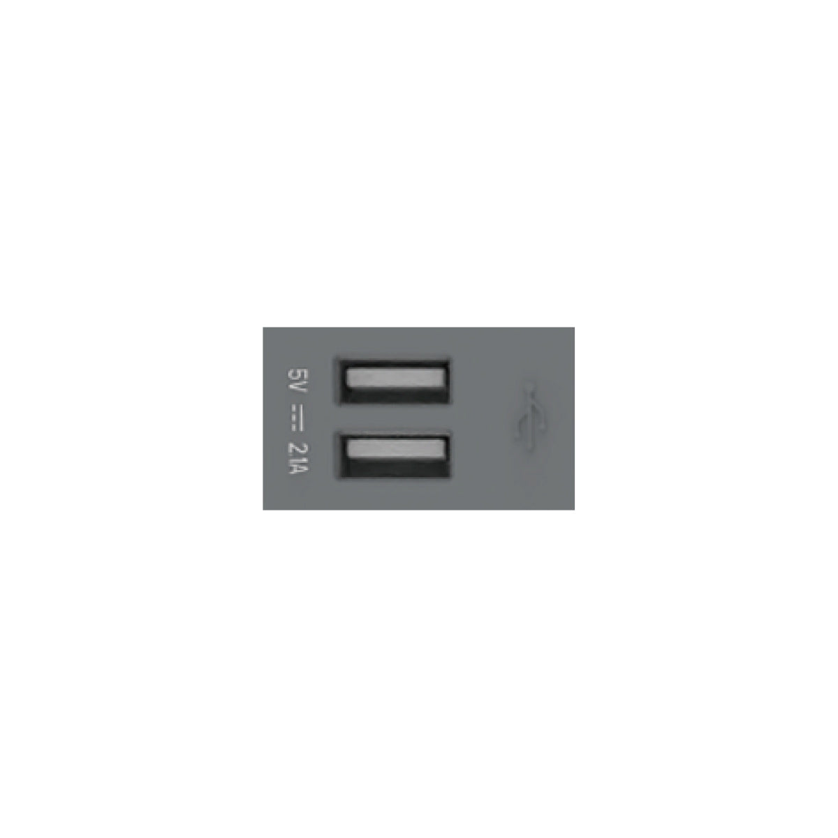 U7T204 2-Port USB Socket, Functional Unit (White/TH) L24