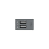 U7T204 2-Port USB Socket, Functional Unit (White/TH) L24