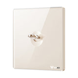 G70 Wall Switch