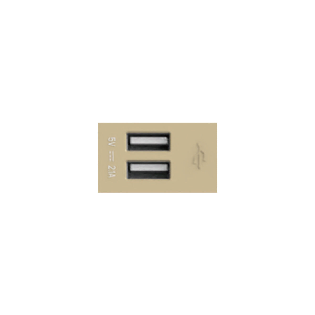 U7T204 2-Port USB Socket, Functional Unit (White/TH) L24