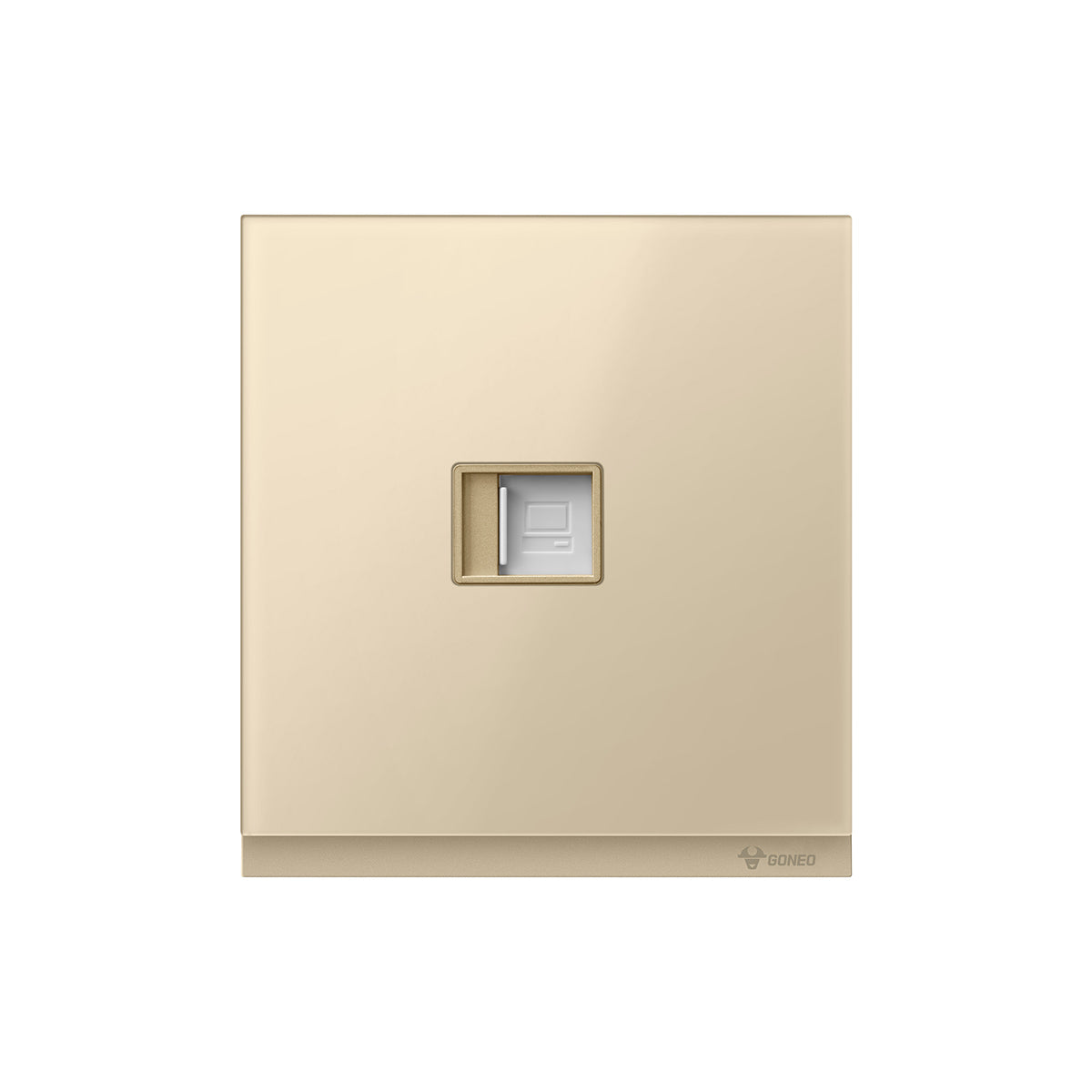 G67T102 1-Gang Computer Socket