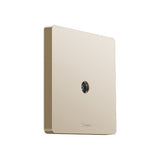 Wall Switch & Outlet-Melody G12-G12T103