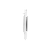Wall Switch & Outlet-Butterfly Wing Gross G67-G67AB104