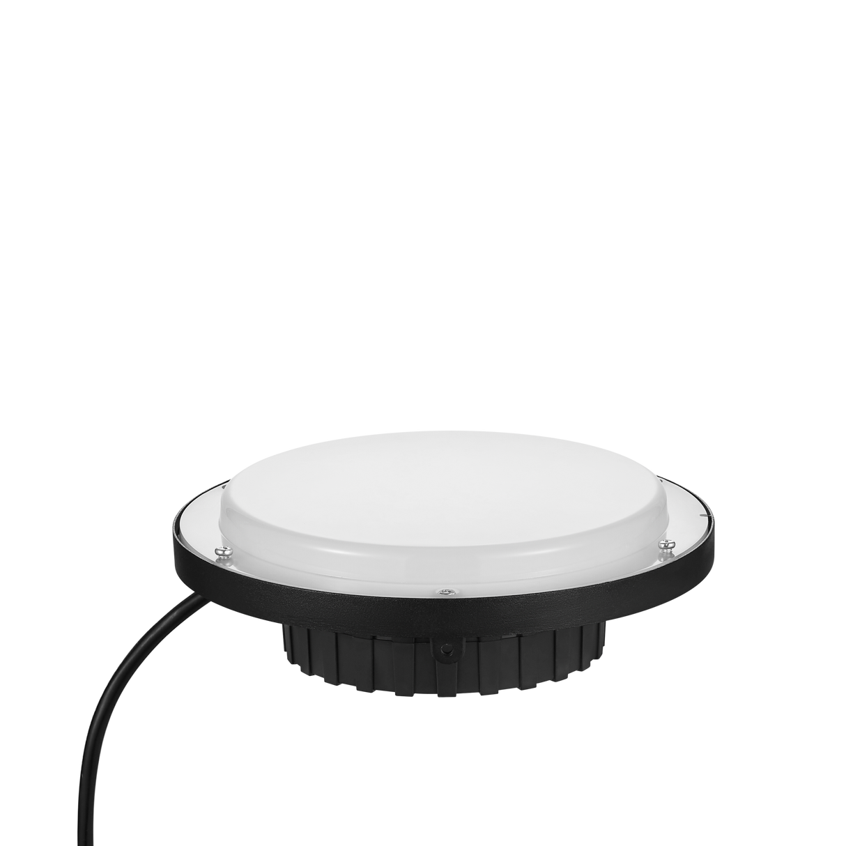 Ceiling light