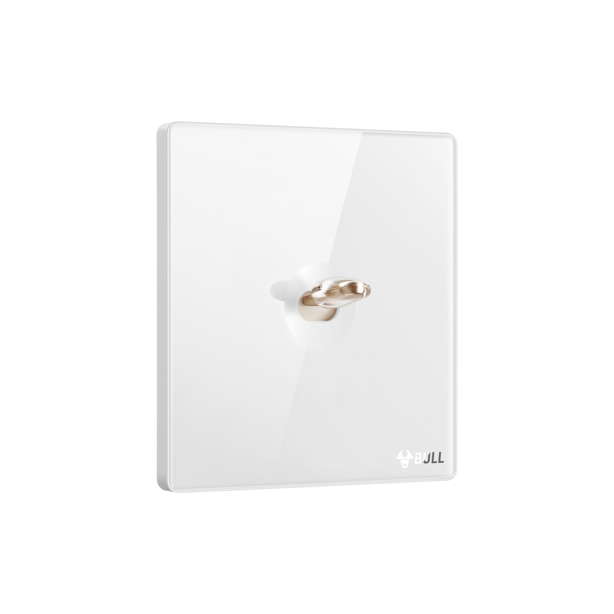 Wall Switch & Outlet-G70-G70K112