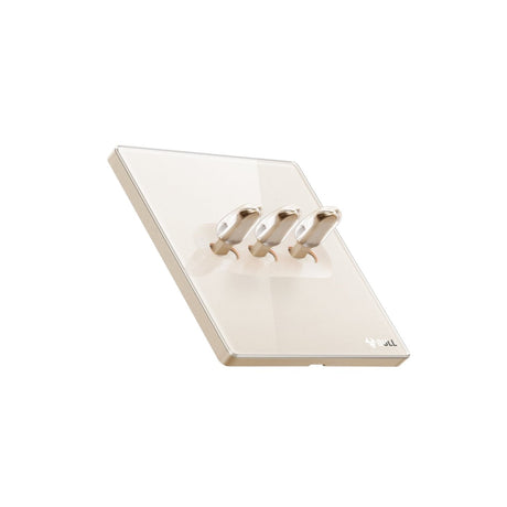 Wall Switch & Outlet-G70-G70K312