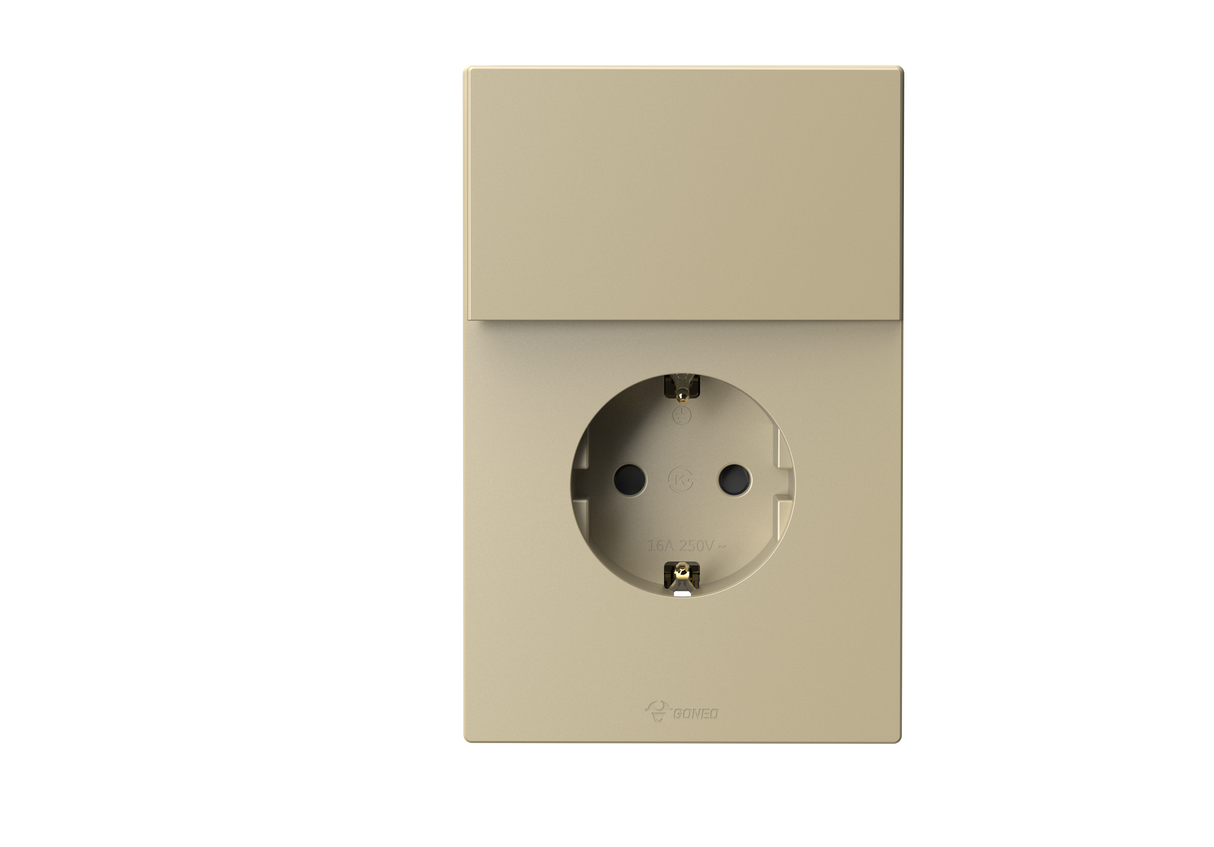 1 Gang Schuko Socket with 1 Way Switch