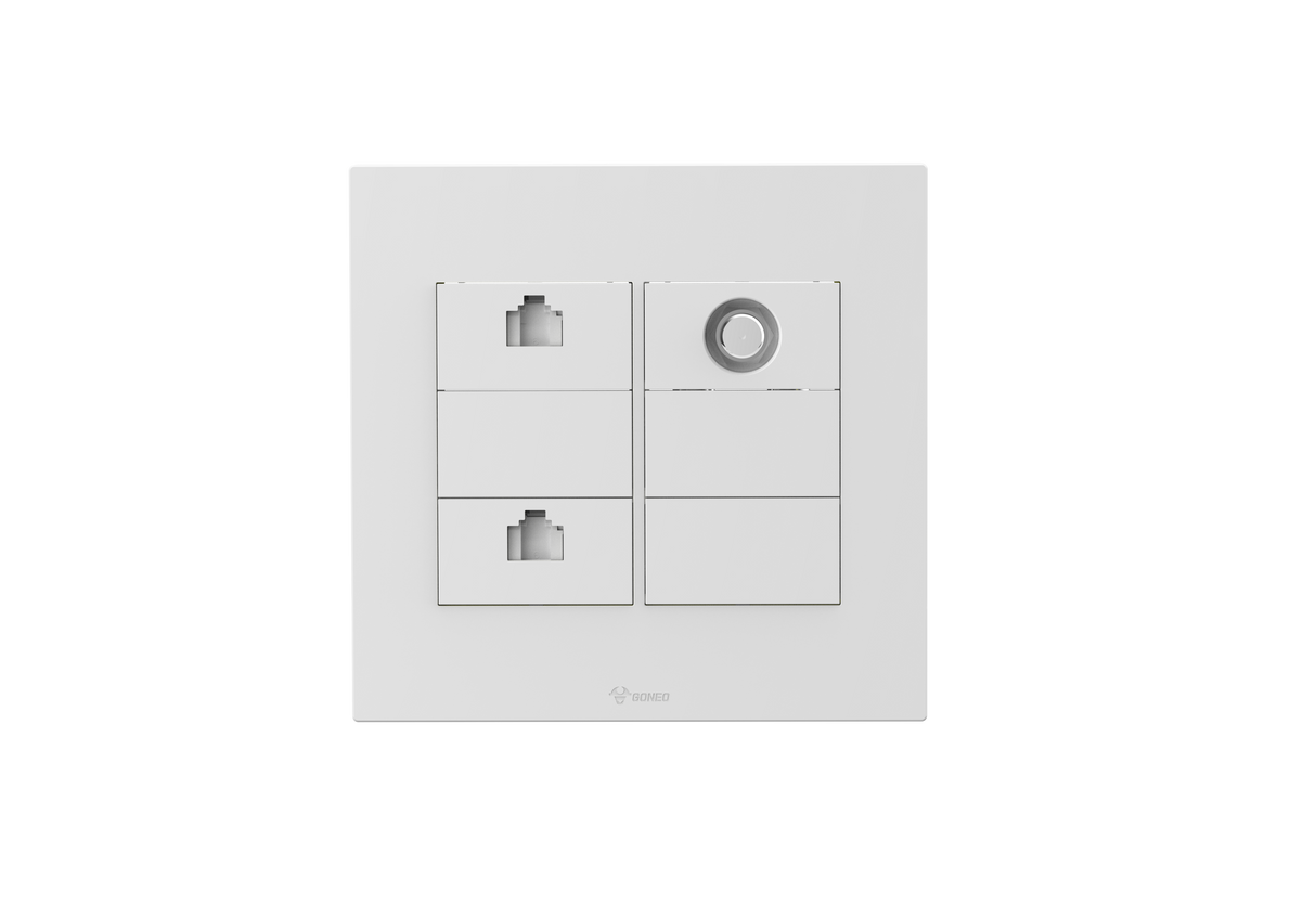 2 Gang Computer + TV(Into 2) Socket