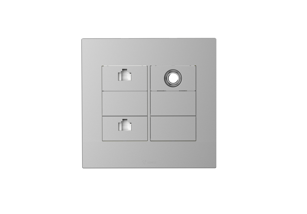 2 Gang Computer + TV(Into 2) Socket