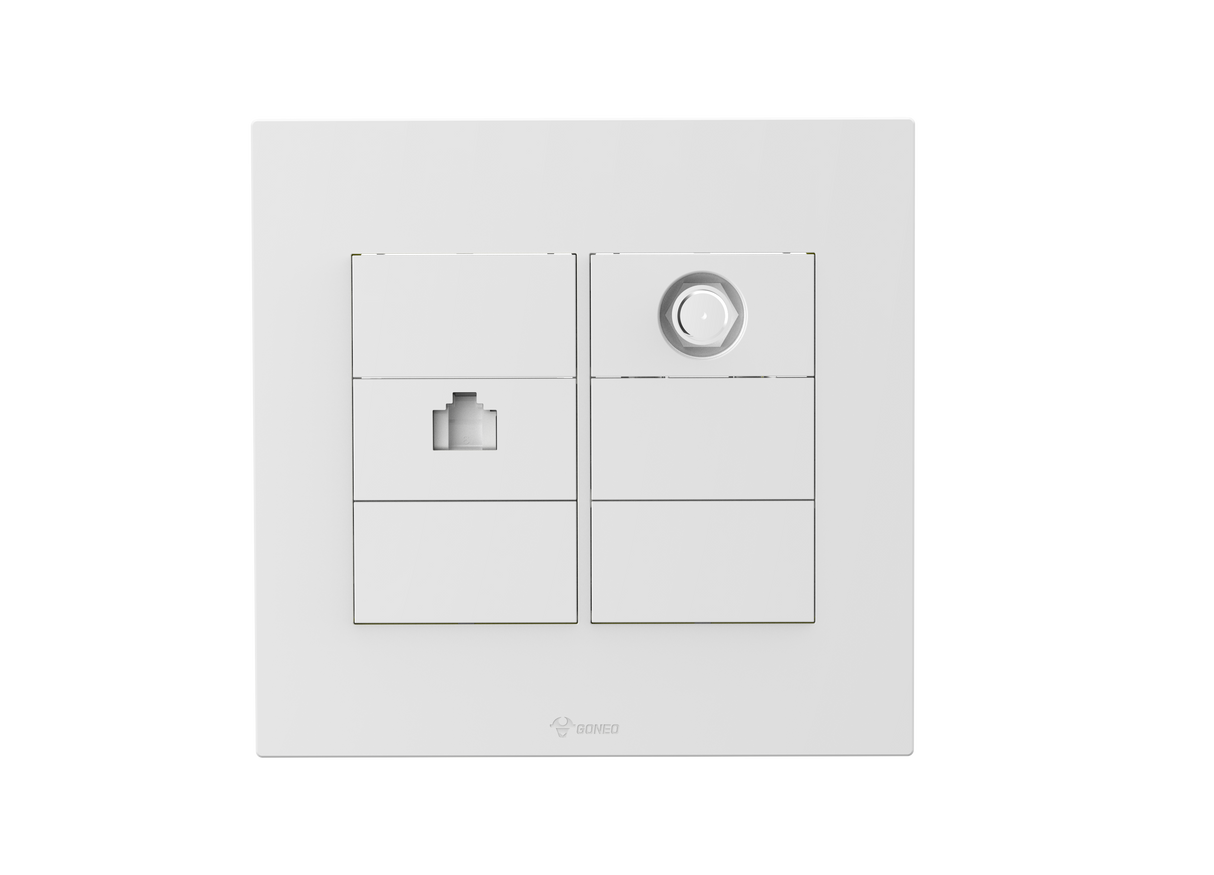 1 Gang Computer + TV (Into 2) Socket