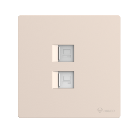 GG37T222 Gold - 2-Gang Computer Wall Socket