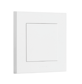 GG32B101 Blank Plate