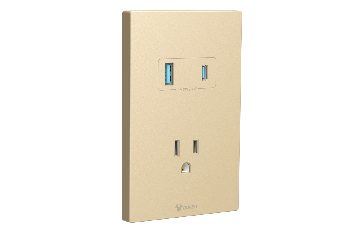 MG01E305 1 Gang Socket + 2 USB Set Switch
