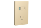 MG01E305 1 Gang Socket + 2 USB Set Switch