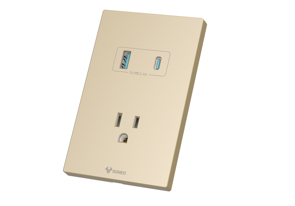 MG01E305 1 Gang Socket + 2 USB Set Switch
